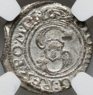 Sigismund III Vasa, 1624 shekel, Vilnius