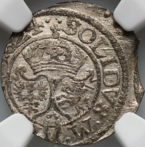 Sigismund III Vasa, 1624 shekel, Vilnius