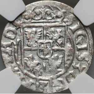 Zygmunt III Waza, półtorak 1622, Bydgoszcz
