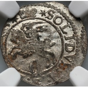 Zygmunt III Waza, szeląg 1623, Wilno