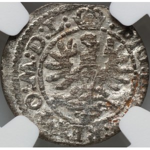 Zygmunt III Waza, szeląg 1623, Wilno