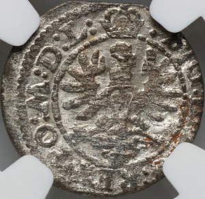 Sigismund III Vasa, 1623 shekel, Vilnius