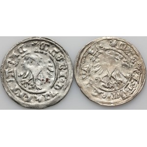 Aleksander Jagiellończyk 1501-1506, zestaw półgroszy, Wilno, (2 sztuki)