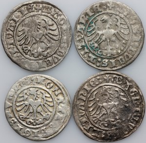 Sigismund I the Old, set of half-pennies, (4 pieces)