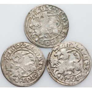 Aleksander Jagiellończyk 1501-1506, zestaw półgroszy, Wilno, (3 sztuki)