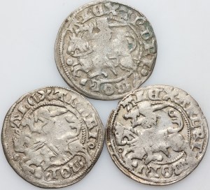 Alexander Jagiellonian 1501-1506, half-penny set, Vilnius, (3 pieces)