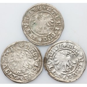 Aleksander Jagiellończyk 1501-1506, zestaw półgroszy, Wilno, (3 sztuki)
