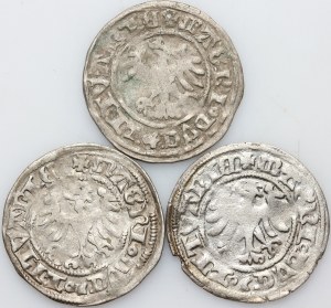 Alexander Jagiellonian 1501-1506, half-penny set, Vilnius, (3 pieces)