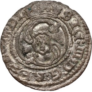 Zygmunt III Waza, szeląg 1625, Wilno