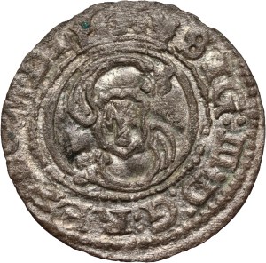 Sigismund III Vasa, 1625 shekel, Vilnius