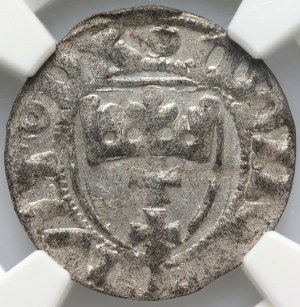 Casimir IV Jagiellonian 1447-1492, sheląg, Gdansk