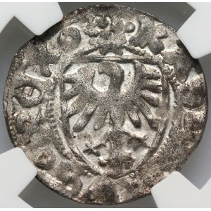 Kazimierz IV Jagiellończyk 1447-1492, szeląg, Gdańsk