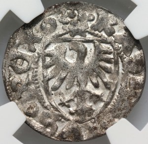 Casimir IV Jagiellonian 1447-1492, sheląg, Gdansk