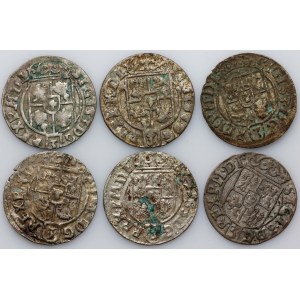 Zygmunt III Waza, zestaw półtoraków z lat 1623-1626, (6 sztuk)