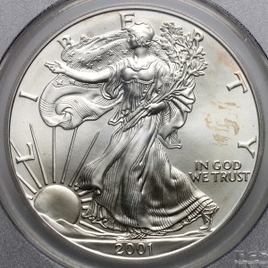 United States of America, dollar 2001, Silver Eagle, 1 oz silver