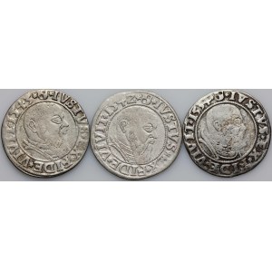 Prusy Książęce, Albrecht Hohenzollern, zestaw groszy z lat 1534-1543, Królewiec, (3 sztuki)