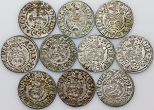 Sigismund III Vasa, set of half-tracks, (10 pieces)