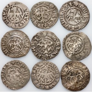 Jan Olbracht 1492-1501, zestaw półgroszy, (9 sztuk)
