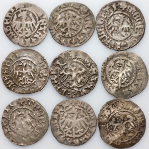 John Olbracht 1492-1501, set of half-pennies, (9 pieces)