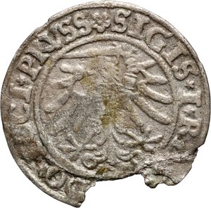 Sigismund I the Old, penny 1533, Elbląg