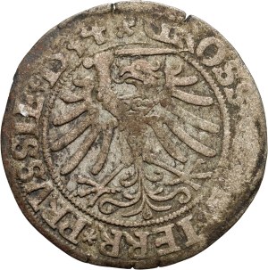 Sigismund I the Old, penny 1534, Toruń
