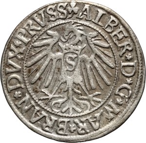 Ducal Prussia, Albrecht Hohenzollern, penny 1542, Königsberg