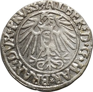 Ducal Prussia, Albrecht Hohenzollern, penny 1541, Königsberg