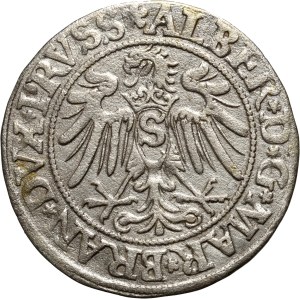 Prusy Książęce, Albrecht Hohenzollern, grosz 1534, Królewiec