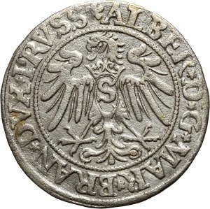 Ducal Prussia, Albrecht Hohenzollern, penny 1534, Königsberg