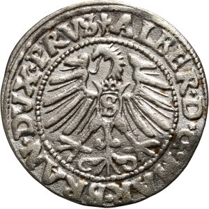 Prusy Książęce, Albrecht Hohenzollern, grosz 1547, Królewiec, rzadki rocznik