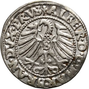 Ducal Prussia, Albrecht Hohenzollern, 1547 grosz, Königsberg, rare vintage