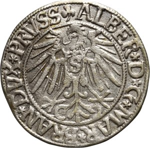 Ducal Prussia, Albrecht Hohenzollern, penny 1543, Königsberg