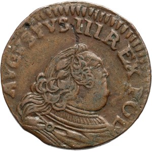 August III, szeląg 1755 H, Gubin