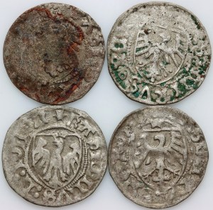 Casimir IV Jagiellonian 1447-1492, set of shekels, Gdansk, (4 pieces)