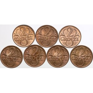 II RP, zestaw monet 2 grosze 1938, (7 sztuk)