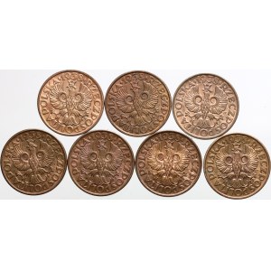 II RP, zestaw monet 2 grosze 1938, (7 sztuk)