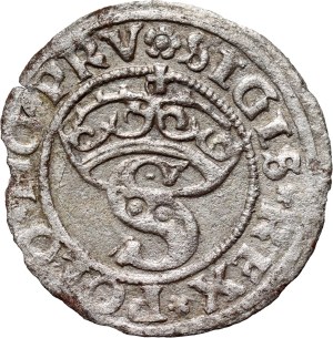 Zygmunt I the Old, 1530 shekel, Torun