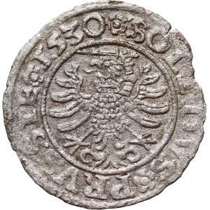 Zygmunt I Stary, szeląg 1530, Toruń