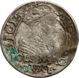 Sigismund II Augustus, penny per Polish foot 1566, Tykocin