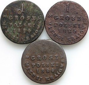 Congress Kingdom, Alexander I, set of domestic copper penny coins from 1824-1825, (3 pieces)