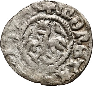 Jan Olbracht 1492-1501, half-penny Cracow