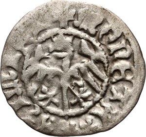 Casimir IV Jagiellonian 1447-1492, half-penny Cracow