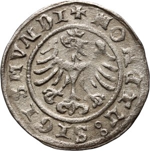 Sigismund I the Old, half-penny 1507, Cracow