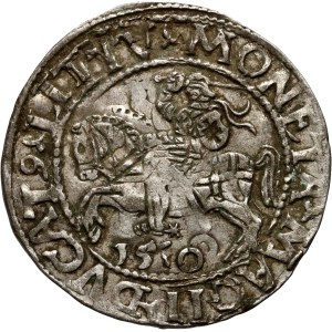 Zygmunt II August, półgrosz 1560?, Wilno, niedobita data