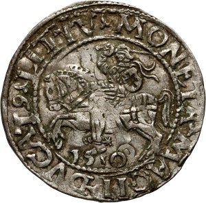 Sigismund II Augustus, half-penny 1560?, Vilnius, undated date