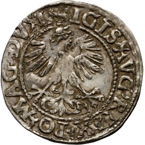 Zygmunt II August, półgrosz 1560?, Wilno, niedobita data