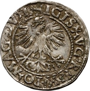 Sigismund II Augustus, half-penny 1560?, Vilnius, undated date