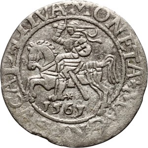 Sigismund II Augustus, half-penny 1561, Vilnius