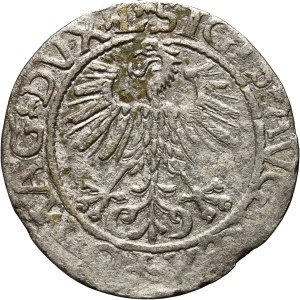 Sigismund II Augustus, half-penny 1561, Vilnius