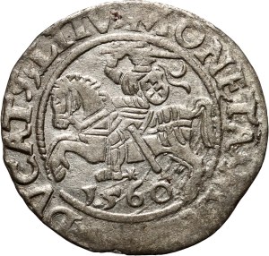 Sigismund II Augustus, half-penny 1560, Vilnius